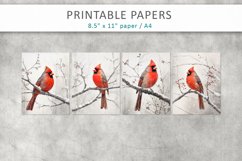 Vintage Cardinal Bird Junk Journal, digital paper Product Image 2