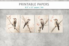 Winter Bird Junk Journal Paper, downy woodpecker bird Product Image 2