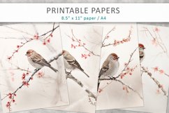 Bird Junk Journal Paper, scrapbook paper Product Image 1