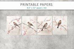 Bird Junk Journal Paper, scrapbook paper Product Image 2