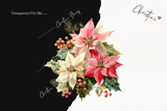 Watercolor Pink Poinsettia Clipart | Christmas PNG Product Image 2
