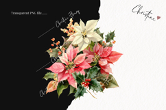 Watercolor Pink Poinsettia Clipart | Christmas PNG Product Image 2