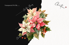Watercolor Pink Poinsettia Clipart | Christmas PNG Product Image 2