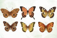 Vintage Butterflies Wings Sublimation Product Image 4