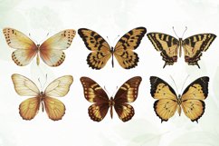 Vintage Butterflies Wings Sublimation Product Image 3