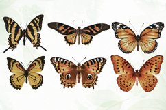 Vintage Butterflies Wings Sublimation Product Image 2