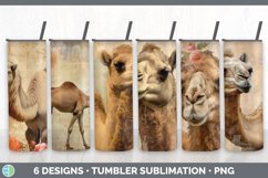 Bundle of six Decoupage Camels Tumbler designs.