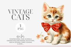 Watercolor White &amp; Ginger Kitten Clipart PNG Product Image 1