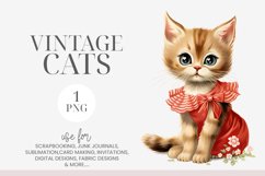 Adorable Vintage Kitten Clipart PNG Product Image 1