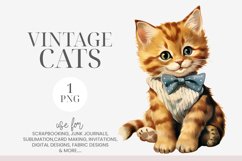 Vintage Kitten with Blue &amp; White Bow Clipart PNG Product Image 1