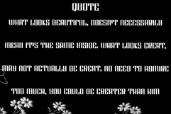 Vintage Chalk Product Image 4