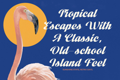 Vintage Charge - Bold Script Font Product Image 5