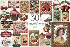 Vintage Cherry Sublimation Bundle Product Image 1