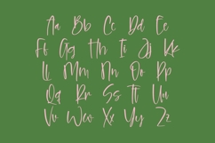 Vintage Cherry Blossom - Brush Handwritten Font Product Image 9