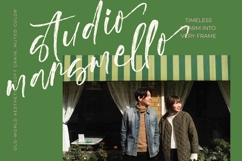 Vintage Cherry Blossom - Brush Handwritten Font Product Image 11