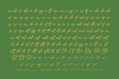 Vintage Cherry Blossom - Brush Handwritten Font Product Image 13