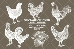 Vintage Chicken Illustrations Pack in Vector SVG &amp; PNG Product Image 2