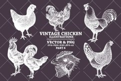 Vintage Chicken Illustrations Pack in Vector SVG &amp; PNG Product Image 3