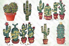 Vintage Christmas Cactus Bundle Product Image 4
