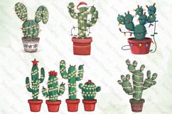 Vintage Christmas Cactus Bundle Product Image 2