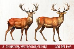 Vintage Christmas Clipart Sublimation, Christmas Clipart Product Image 1