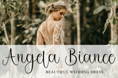 Vintage Christmas Product Image 4