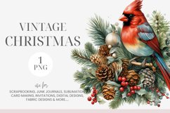Vintage Christmas Cardinal Clipart Product Image 1