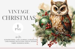 Vintage Christmas Owl Clipart Product Image 1
