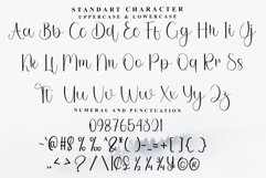 Vintage Christmas Product Image 6