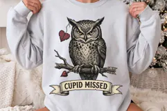 Vintage Cupid Missed Grumpy Owl Valentine PNG Product Image 3