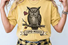 Vintage Cupid Missed Grumpy Owl Valentine PNG Product Image 2