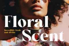 Sorella Product Image 4