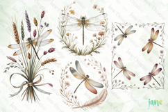 Vintage Dragonfly Clipart Product Image 1