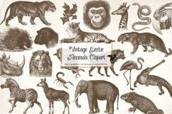 Vintage Exotic Animals Clipart Product Image 1