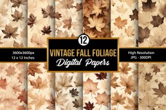 Vintage Fall Foliage Digital Paper Backgrounds Product Image 1