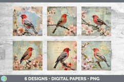 Bundle of six Decoupage Finchs Paper Backgrounds designs.