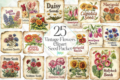 Vintage Flowers Clipart Seed Packet Product Image 1