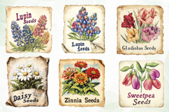 Vintage Flowers Clipart Seed Packet Product Image 4