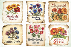 Vintage Flowers Clipart Seed Packet Product Image 2
