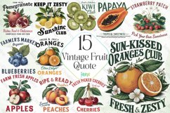 Vintage Fruit Sublimation Bundle Product Image 1