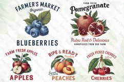 Vintage Fruit Sublimation Bundle Product Image 2