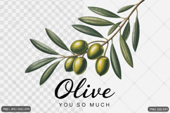 Vintage Fruit Sublimation SVG PNG Bundle Product Image 5