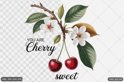 Vintage Fruit Sublimation SVG PNG Bundle Product Image 8
