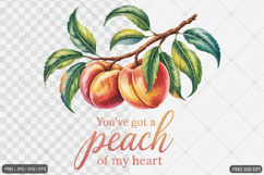 Vintage Fruit Sublimation SVG PNG Product Image 1