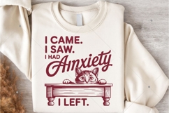 Vintage Funny Cat PNG,I Came I Saw I Had Anxiety PNG,Mental Product Image 5