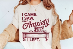 Vintage Funny Cat PNG,I Came I Saw I Had Anxiety PNG,Mental Product Image 6