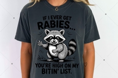 Vintage Funny Raccoon PNG, If I Ever Get Rabies, You're High Product Image 3