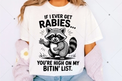 Vintage Funny Raccoon PNG, If I Ever Get Rabies, You're High Product Image 1