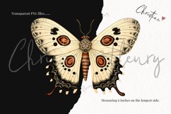 Vintage Goth Moth Clipart Product Image 3