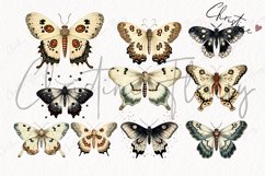 Vintage Goth Moth Clipart Product Image 4